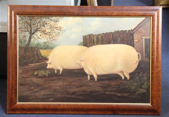 19th century English School Naive study of two pigs in a field 19 x 29in.